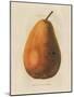 Pierpont v2-Wild Apple Portfolio-Mounted Art Print