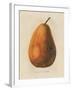 Pierpont v2-Wild Apple Portfolio-Framed Art Print