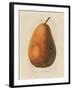 Pierpont v2-Wild Apple Portfolio-Framed Art Print