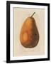 Pierpont v2-Wild Apple Portfolio-Framed Art Print