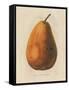 Pierpont v2-Wild Apple Portfolio-Framed Stretched Canvas