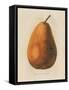 Pierpont v2-Wild Apple Portfolio-Framed Stretched Canvas