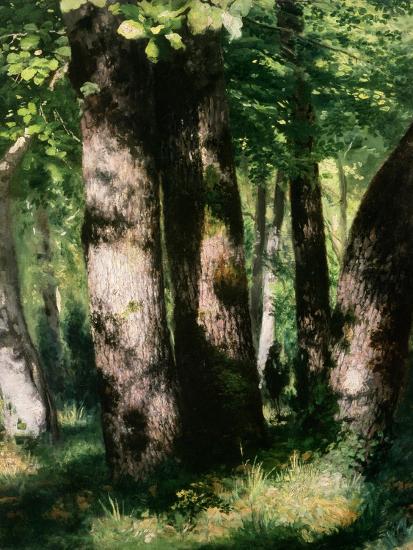 Premium Giclee Print, , large
