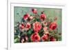 Pierre-Auguste Renoir Still Life Roses of Vargemont-Pierre-Auguste Renoir-Framed Art Print