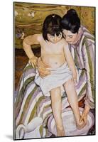 Pierre Auguste Renoir The Bath Art Print Poster-null-Mounted Poster