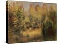 Stretched Canvas