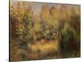 Stretched Canvas