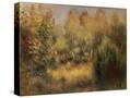 Stretched Canvas