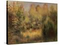 Stretched Canvas