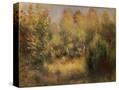Stretched Canvas