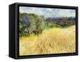 Canvas Black