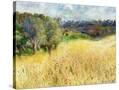 Stretched Canvas