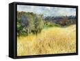 Canvas Black