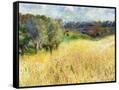 Canvas Black