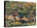 Stretched Canvas