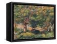 Canvas Black