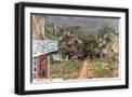 Black Frame