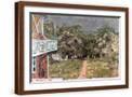 Brown Frame