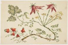 Ornament, Chinoiserie, Flowers, June 30, 1760-Pierre-Charles Canot-Framed Stretched Canvas