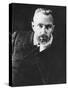Pierre Curie, French Chemist-null-Stretched Canvas