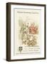 Pierre D'Aubusson-null-Framed Giclee Print