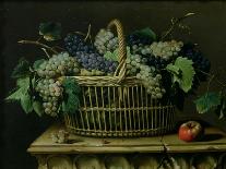 Fruit in a Wicker Basket with Figs on a Plinth-Pierre Dupuis-Giclee Print