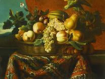 Grapes, Peaches, Plums, Pears and a Melon in a Basket with a Parakeet, a Red Squirrel and a…-Pierre Dupuis-Framed Giclee Print