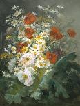 Still Life of Daisies and Poppies-Pierre Gontier-Stretched Canvas