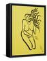 Framed Canvas