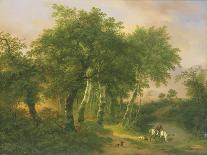 Moonlight Scene (painting on panel), 1815-1845-Pierre Jean Hellemans-Giclee Print