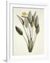 Gramercy White