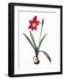 Black Frame