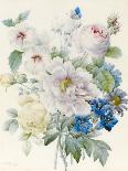 Fritillaire Imperiale, from Choix Des Plus Belle Fleurs Et Des Plus Beaux Fruits, 1827-Pierre Joseph Redoute-Giclee Print
