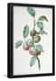 Essential Black