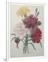 Gramercy White