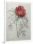 Gramercy White