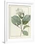 Gramercy White