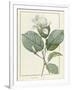 Gramercy White