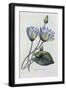 Black Frame