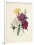 Gramercy White