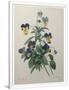 Gramercy White