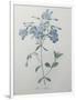 Gramercy White