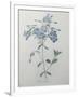 Gramercy White