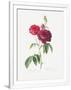 Gramercy White