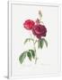 Gramercy White