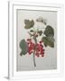 Gramercy White