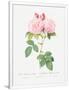 Gramercy White