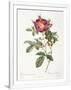 Gramercy White