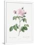 Gramercy White