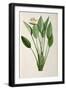 Black Frame